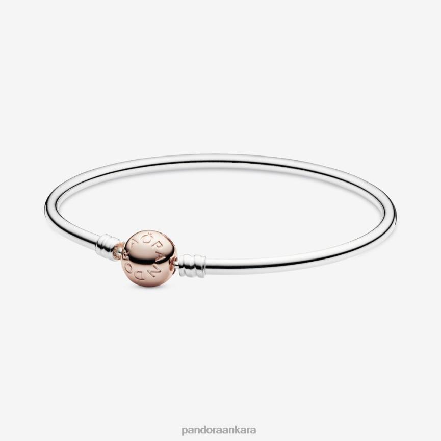 anlar bileklik 82N8H361 Pandora iki ton