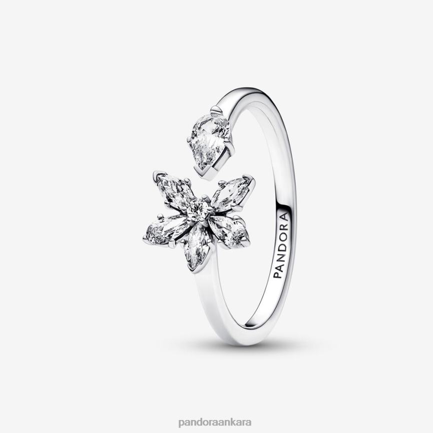 köpüklü herbaryum kümesi açık halka 82N8H674 Pandora som gümüş