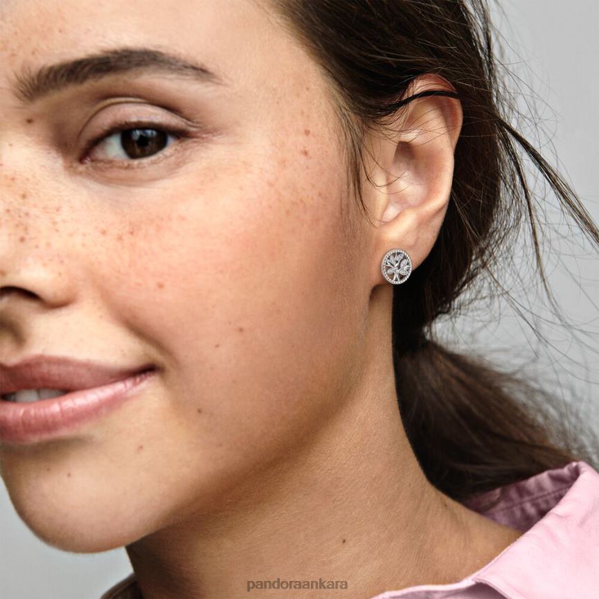 ışıltılı aile ağacı saplama küpeleri 82N8H916 Pandora som gümüş